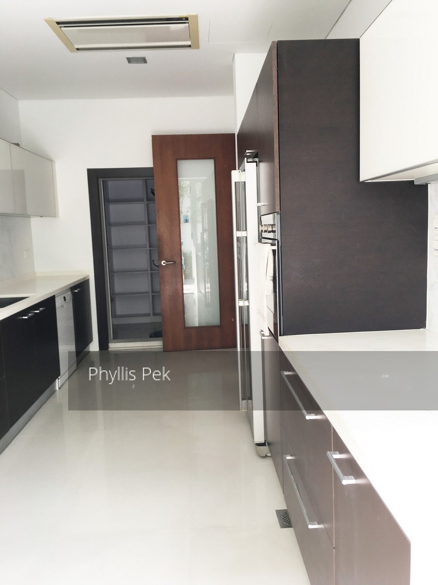 Shamrock Park (D10), Terrace #153498912